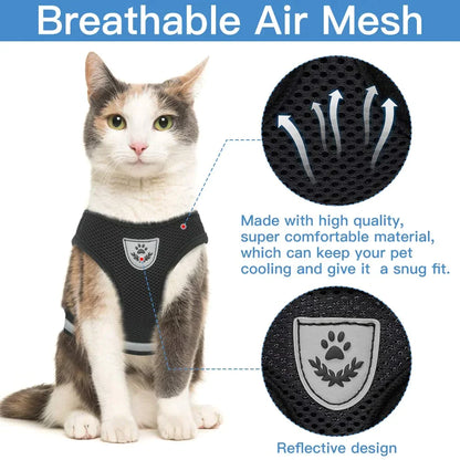 Chest collar for cat